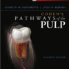 Ebook: Cohen's Pathways of the Pulp Expert Consult, 11e 11th Edition
