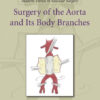 Surgery of the Aorta and Its Body Branches (Modern Trends in Vascular Surgery) 1st Editi