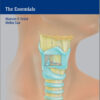 Clinical Laryngology 1st edition