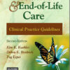 Palliative Care Nursing, Fourth Edition: Quality Care to the End of Life 4th Edition