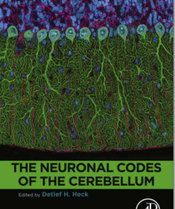 The Neuronal Codes of the Cerebellum 1st Edition