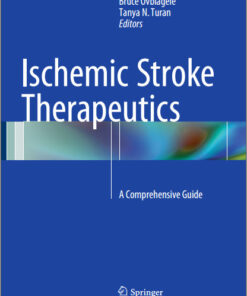 Ischemic Stroke Therapeutics: A Comprehensive Guide 1st ed. 2016 Edition