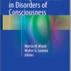 Brain Function and Responsiveness in Disorders of Consciousness 1st ed. 2016 Edition