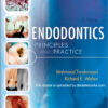Endodontics: Principles and Practice, 4th Edition with DVD