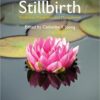 Stillbirth: Prediction, Prevention and Management 1st Edition