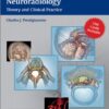Endovascular Surgical Neuroradiology: Theory and Clinical Practice 1st edition