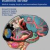 Hemorrhagic and Ischemic Stroke: Medical, Imaging, Surgical and Interventional Approaches 1st Edition