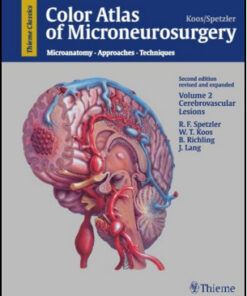 Color Atlas of Microneurosurgery Microanatomy, Approaches and Techniques, Volume 2: Cerebrovascular Lesions, 2nd Edition