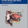 Reconstruction of the Head and Neck: A Defect-Oriented Approach
