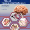 100 surgical technique videos ( Atlas of Neurosurgical Techniques: Brain 2nd edition )