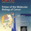 Cancer: Principles & Practice of Oncology: Primer of the Molecular Biology of Cancer Second Edition