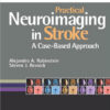 Practical Neuroimaging in Stroke: A Case-Based Approach, 1e  Edition