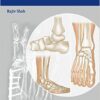 Handbook of Foot and Ankle Orthopedics 1st Edition