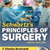 Schwartz's Principles of Surgery, 10th edition 10th Edition