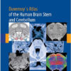 Duvernoy's Atlas of the Human Brain Stem and Cerebellum: High-Field MRI, Surface Anatomy, Internal Structure, Vascularization and 3 D Sectional Anatomy 1st Edition