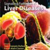 Signaling Pathways in Liver Diseases 3rd Edition