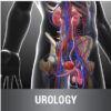 Urology CME Online Bundle 2017 PDF & VIDEO