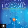 Tension-Type And Cervicogenic Headache: Pathophysiology, Diagnosis, And Management  1st Edition