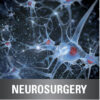 Neurosurgery CME Online Bundle 2017 - Video & PDF
