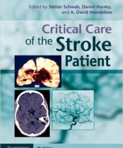 Critical Care of the Stroke Patient 1st Edition