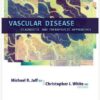 Vascular Disease: Diagnostic and Therapeutic Approaches 1st Edition