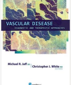 Vascular Disease: Diagnostic and Therapeutic Approaches 1st Edition