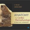 Anatomy for Cardiac Electrophysiologists: A Practical Handbook 1st Edition