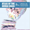 Atlas of the Human Brain, Fourth Edition 4th Edition PDF