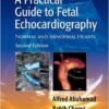 A Practical Guide to Fetal Echocardiography: Normal and Abnormal Hearts / Edition 2