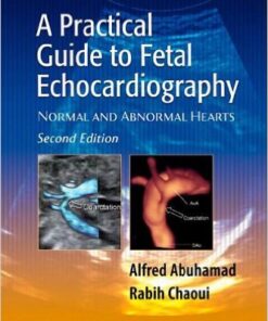 A Practical Guide to Fetal Echocardiography: Normal and Abnormal Hearts / Edition 2