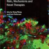 Atherosclerosis: Risks, Mechanisms, and Therapies