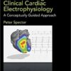 Understanding Cardiac Electrophysiology : A Conceptually Guided Approach