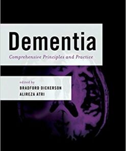 Dementia : Comprehensive Principles and Practices