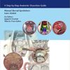 Endoscopic Approaches to the Paranasal Sinuses and Skull Base: A Step-by-Step Anatomic Dissection Guide 1st Edition PDF