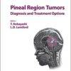 Pineal Region Tumors: Diagnosis and Treatment Options (Progress in Neurological Surgery, Vol. 23)1st Edition PDF