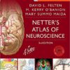 Netter's Atlas of Neuroscience, 3e (Netter Basic Science) 3rd Edition PDF