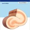Neurosurgical Intensive Care 2nd Edition by Javed Siddiqi (Editor)