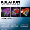 Hands-On Ablation: The Experts' Approach, 2nd Edition 2nd Edition PDF