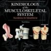 Kinesiology of the Musculoskeletal System: Foundations for Rehabilitation, 3e 3rd Edition PDF