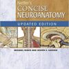 Netter's Concise Neuroanatomy Updated Edition, 1e (Netter Clinical Science) Pap/Psc Up Edition PDF