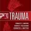 Trauma, Eighth Edition 8th Edition PDF
