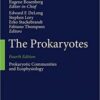 The Prokaryotes Prokaryotic Communities and Ecophysiology 4th Edition PDF
