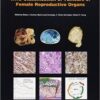 WHO Classification of Tumours of the Female Reproductive Organs (IARC WHO Classification of Tumours) 4th Edition PDF