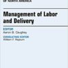 Management of Labor and Delivery, An Issue of Obstetrics and Gynecology Clinics, E-Book (The Clinics: Internal Medicine) PDF