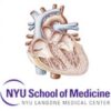 Comprehensive Cardiology Seminar and Board Review Course (NYU) 2015 (CME Videos)
