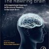 The Rewiring Brain: A Computational Approach to Structural Plasticity in the Adult Brain 1st Edition PDF