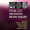 Fetal and Neonatal Brain Injury 5th Edition PDF