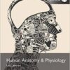 Human Anatomy & Physiology, Global Edition PDF