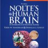 Nolte’s The Human Brain An Introduction to its Functional Anatomy, 7th Edition PDF