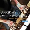 Anatomy & Physiology: The Unity of Form and Function, 8th Edition PDF